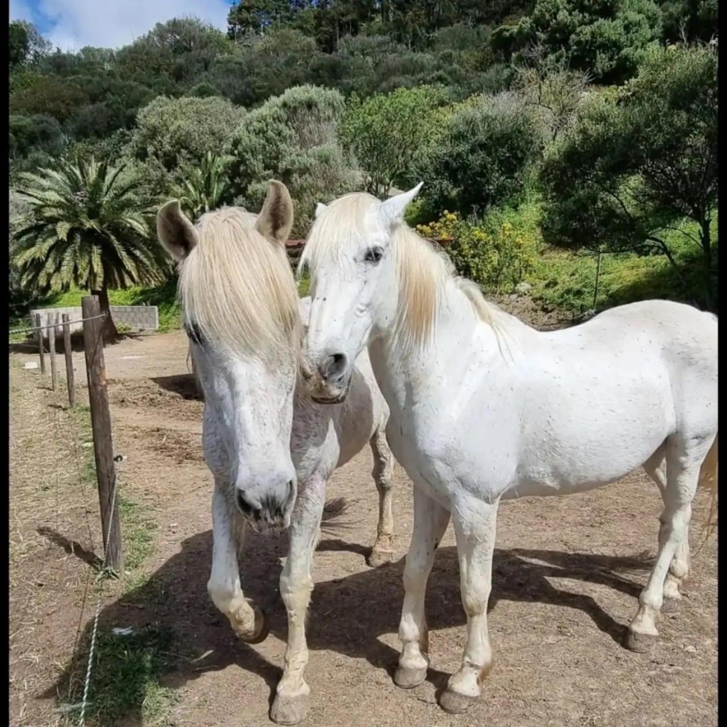 El Batan Resort 산타 비르지타 외부 사진